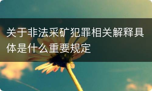 关于非法采矿犯罪相关解释具体是什么重要规定