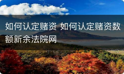 如何认定赌资 如何认定赌资数额新余法院网