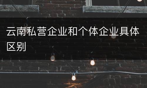 云南私营企业和个体企业具体区别
