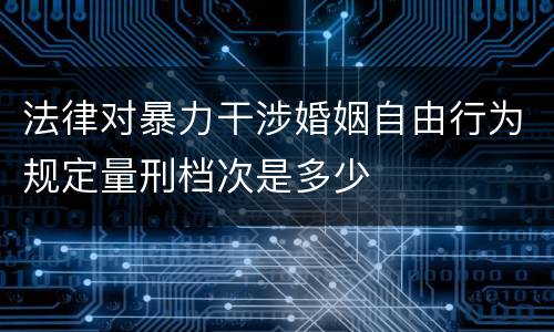 法律对暴力干涉婚姻自由行为规定量刑档次是多少