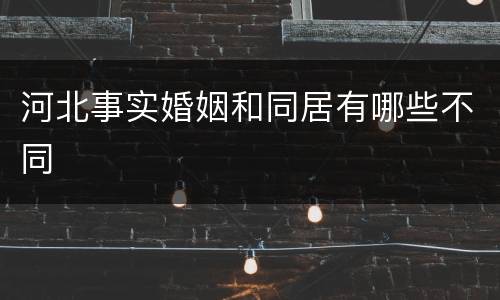 河北事实婚姻和同居有哪些不同