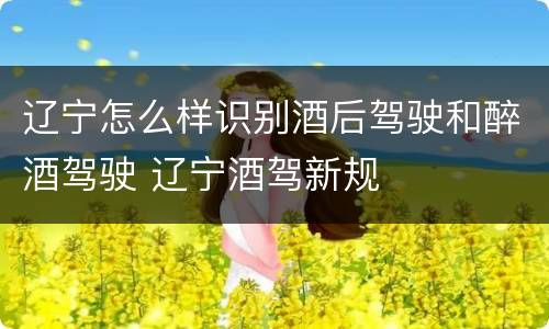 辽宁怎么样识别酒后驾驶和醉酒驾驶 辽宁酒驾新规