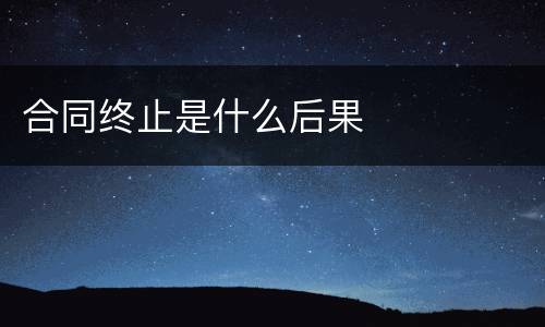 合同终止是什么后果