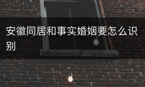 安徽同居和事实婚姻要怎么识别