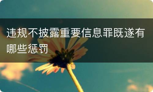 违规不披露重要信息罪既遂有哪些惩罚