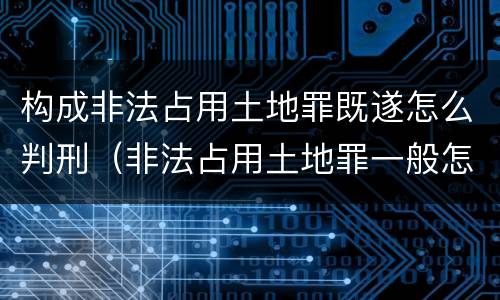 构成非法占用土地罪既遂怎么判刑（非法占用土地罪一般怎么判决）