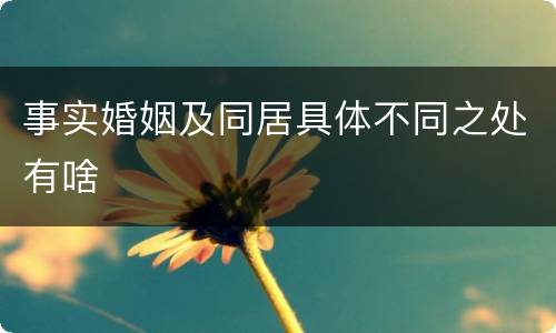 事实婚姻及同居具体不同之处有啥