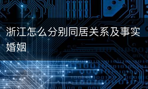 浙江怎么分别同居关系及事实婚姻