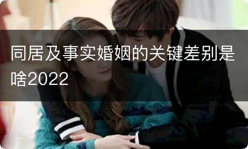 同居及事实婚姻的关键差别是啥2022