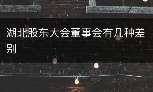 湖北股东大会董事会有几种差别