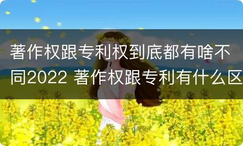 著作权跟专利权到底都有啥不同2022 著作权跟专利有什么区别