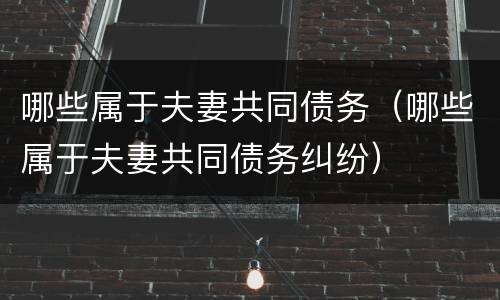 哪些属于夫妻共同债务（哪些属于夫妻共同债务纠纷）