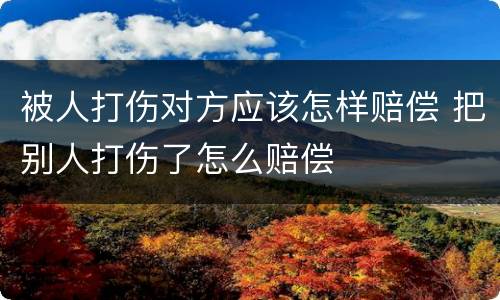 被人打伤对方应该怎样赔偿 把别人打伤了怎么赔偿