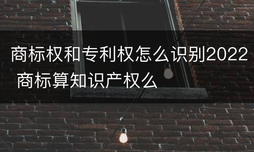 商标权和专利权怎么识别2022 商标算知识产权么