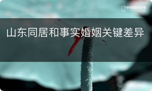 山东同居和事实婚姻关键差异