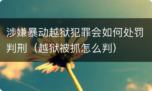 涉嫌暴动越狱犯罪会如何处罚判刑（越狱被抓怎么判）