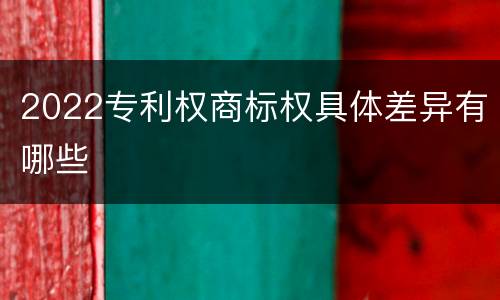 2022专利权商标权具体差异有哪些