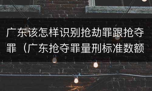 广东该怎样识别抢劫罪跟抢夺罪（广东抢夺罪量刑标准数额）