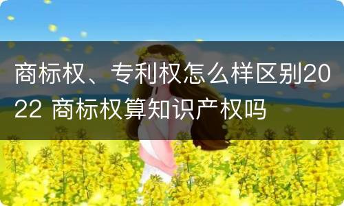 商标权、专利权怎么样区别2022 商标权算知识产权吗