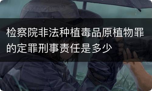 检察院非法种植毒品原植物罪的定罪刑事责任是多少