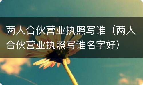 两人合伙营业执照写谁（两人合伙营业执照写谁名字好）