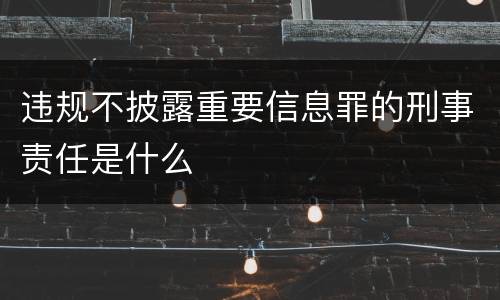 违规不披露重要信息罪的刑事责任是什么