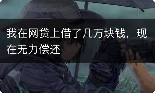 我在网贷上借了几万块钱，现在无力偿还