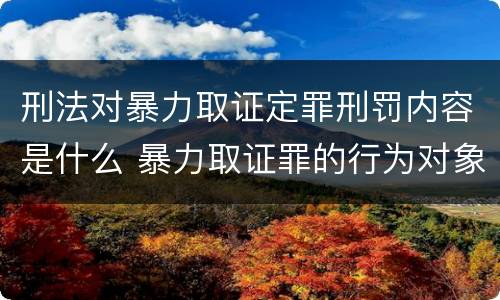 刑法对暴力取证定罪刑罚内容是什么 暴力取证罪的行为对象