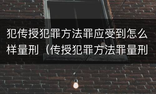 犯传授犯罪方法罪应受到怎么样量刑（传授犯罪方法罪量刑情节严重）