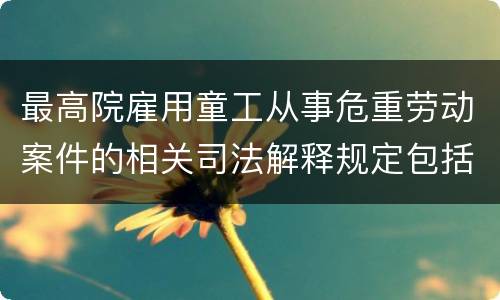 最高院雇用童工从事危重劳动案件的相关司法解释规定包括什么重要内容