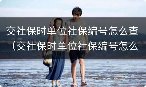 交社保时单位社保编号怎么查（交社保时单位社保编号怎么查询）