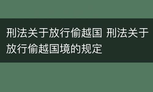 刑法关于放行偷越国 刑法关于放行偷越国境的规定