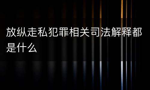 放纵走私犯罪相关司法解释都是什么