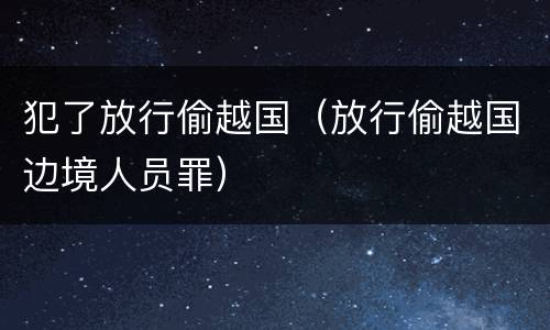 犯了放行偷越国（放行偷越国边境人员罪）