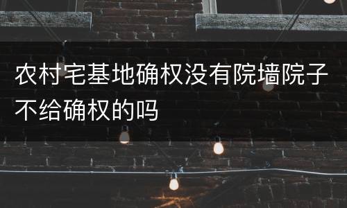农村宅基地确权没有院墙院子不给确权的吗