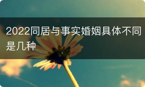 2022同居与事实婚姻具体不同是几种