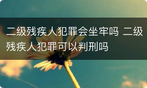 二级残疾人犯罪会坐牢吗 二级残疾人犯罪可以判刑吗