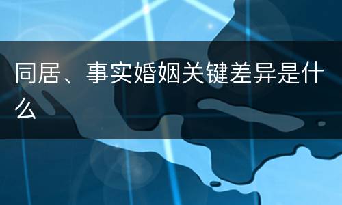 同居、事实婚姻关键差异是什么