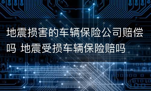 地震损害的车辆保险公司赔偿吗 地震受损车辆保险赔吗