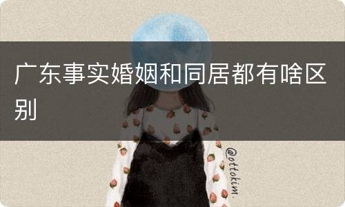 广东事实婚姻和同居都有啥区别
