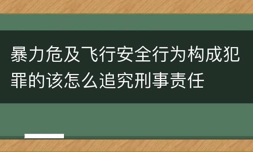 暴力危及飞行安全行为构成犯罪的该怎么追究刑事责任