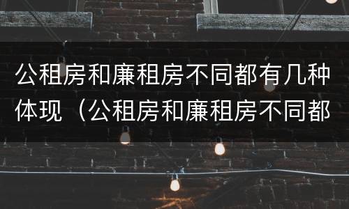 公租房和廉租房不同都有几种体现（公租房和廉租房不同都有几种体现方法）