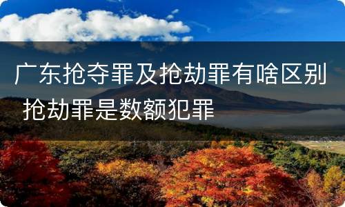 广东抢夺罪及抢劫罪有啥区别 抢劫罪是数额犯罪