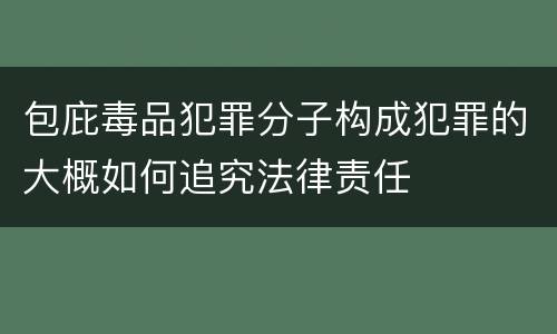 包庇毒品犯罪分子构成犯罪的大概如何追究法律责任