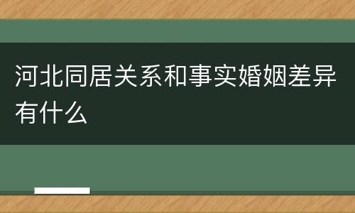 河北同居关系和事实婚姻差异有什么