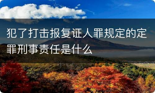 犯了打击报复证人罪规定的定罪刑事责任是什么