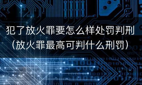 犯了放火罪要怎么样处罚判刑（放火罪最高可判什么刑罚）