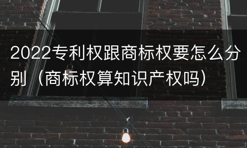 2022专利权跟商标权要怎么分别（商标权算知识产权吗）