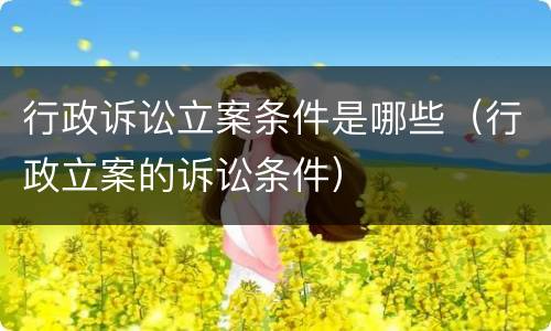 行政诉讼立案条件是哪些（行政立案的诉讼条件）
