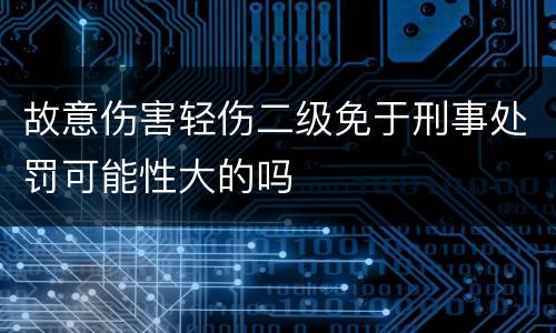 故意伤害轻伤二级免于刑事处罚可能性大的吗